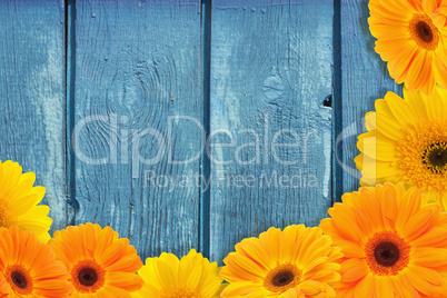Wooden blue texture  and flowers