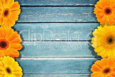 Wooden blue texture  and flowers