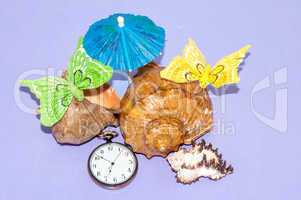 Seashell and watches