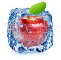 Red apple in ice