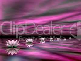 Water lilies steps to the sun - 3D render