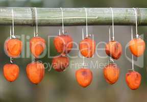 dried kaki fruit