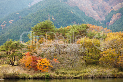 Japanese country autumn