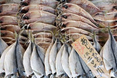 fish in market