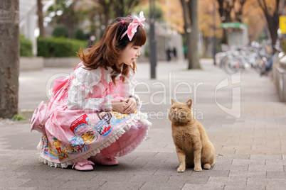 lolita cosplay and cat