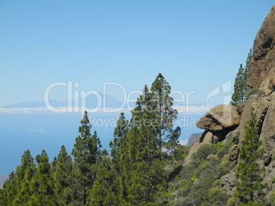 Blick vom Roque Nublo (Gran Canaria) zum Teide