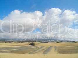 Sanddüne bei Maspalomas, Gran Canaria