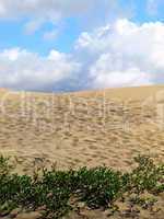 Sanddüne bei Maspalomas, Gran Canaria