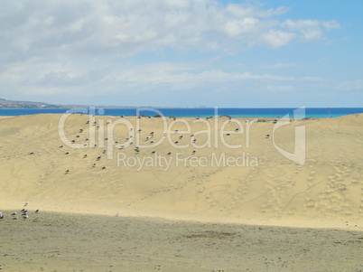 Sanddüne bei Maspalomas, Gran, Canaria