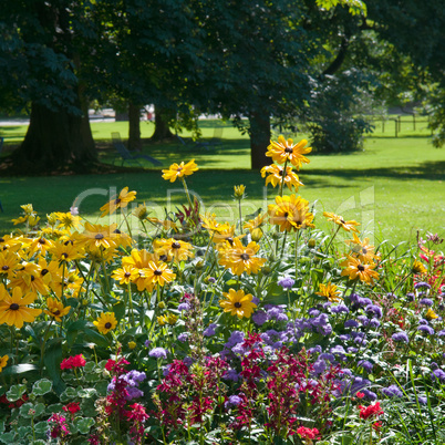 multi colored flower bed