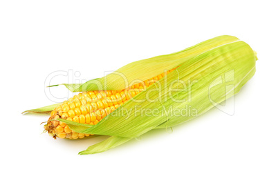 corn on the cob