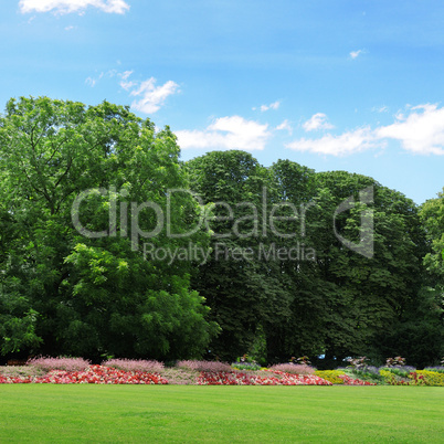 Summer garden with lawn and flower garden