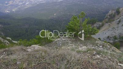 View of the coast and Yalta from the top of Mount Ai-Petri, Crimea