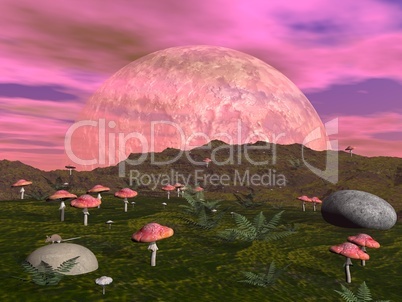 Mushroom fantasy landscape - 3D render