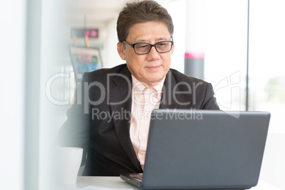 ceo boss using internet with laptop