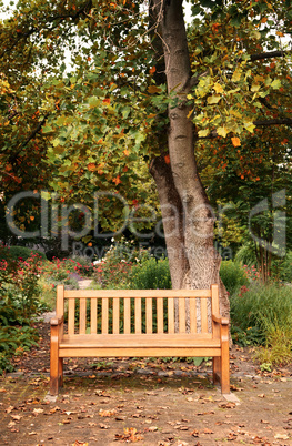 beautiful bench