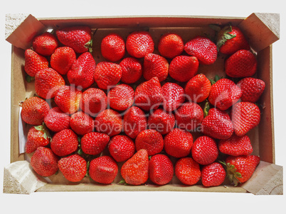 Strawberries fruits