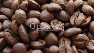 hand checking coffee beans closeup