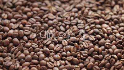 hand checking coffee beans closeup