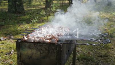 cooking pork shashlik, healthy outdoor picnic