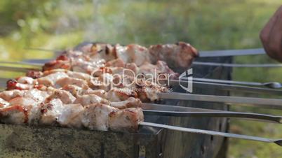 cooking pork shashlik, healthy outdoor picnic