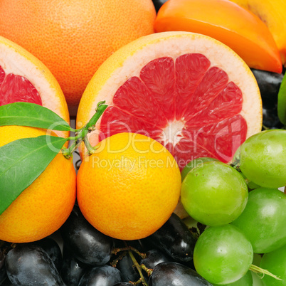 fruit background