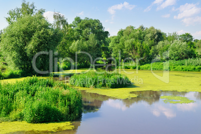 picturesque lake