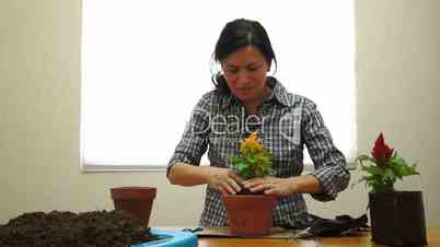 female gardener planting