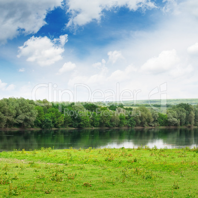 meadow and forest on the bank of the river