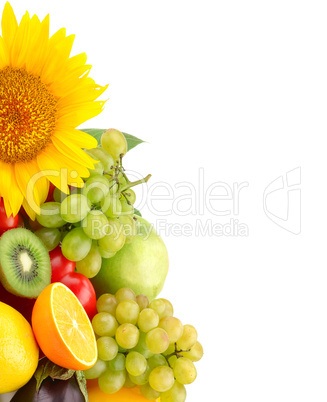 collection of fruits and vegetables