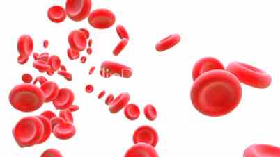 Red blood cells flowing