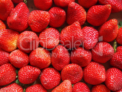 Strawberries fruits