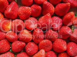 Strawberries fruits