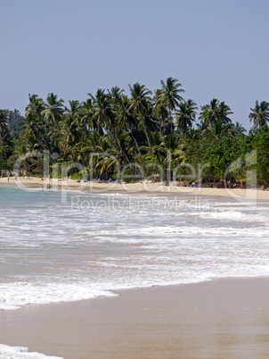 Beautiful landscape at the beach