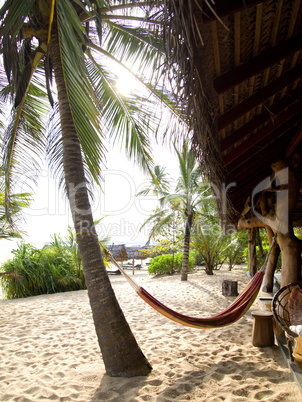 Beautiful landscape at the beach