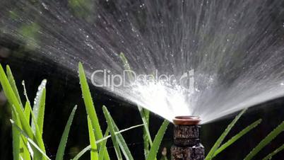 garden irrigation spray