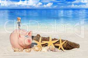 Rosa Sparschwein mit Geldscheinen am Sandstrand