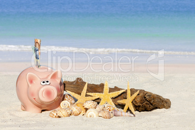 Sparschwein, Muscheln und Treibholz am Sandstrand