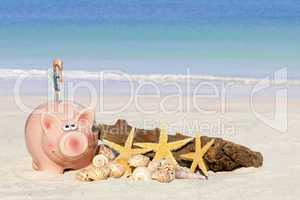 Sparschwein, Muscheln und Treibholz am Sandstrand