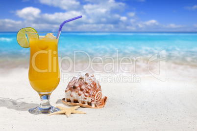 Fruchtcocktail und Muschel am Strand