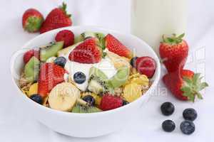 früchte müsli mit joghurt zum frühstück