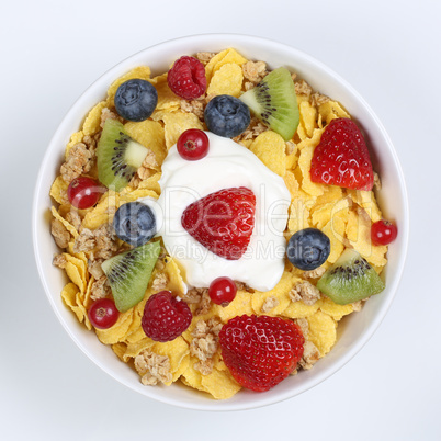 früchte müsli mit joghurt in schale von oben