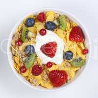 früchte müsli mit joghurt in schale von oben