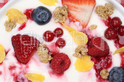 früchte müsli joghurt zum frühstück von oben