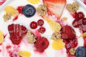 früchte müsli joghurt zum frühstück von oben