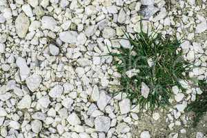 Green grass and stones