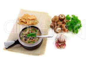 Gourmet Mushrooms cream soup
