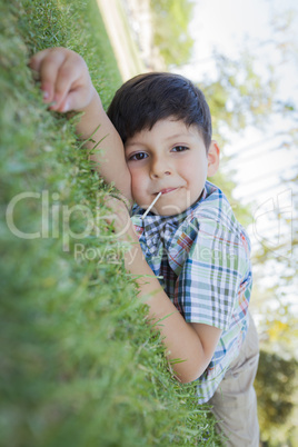 Young Boy Enjoying His Lollipop Outdoors Laying on Grass