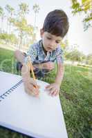 Cute Young Boy Drawing Outdoors on the Grass