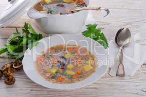 krupnik ? polish pearl barley soup